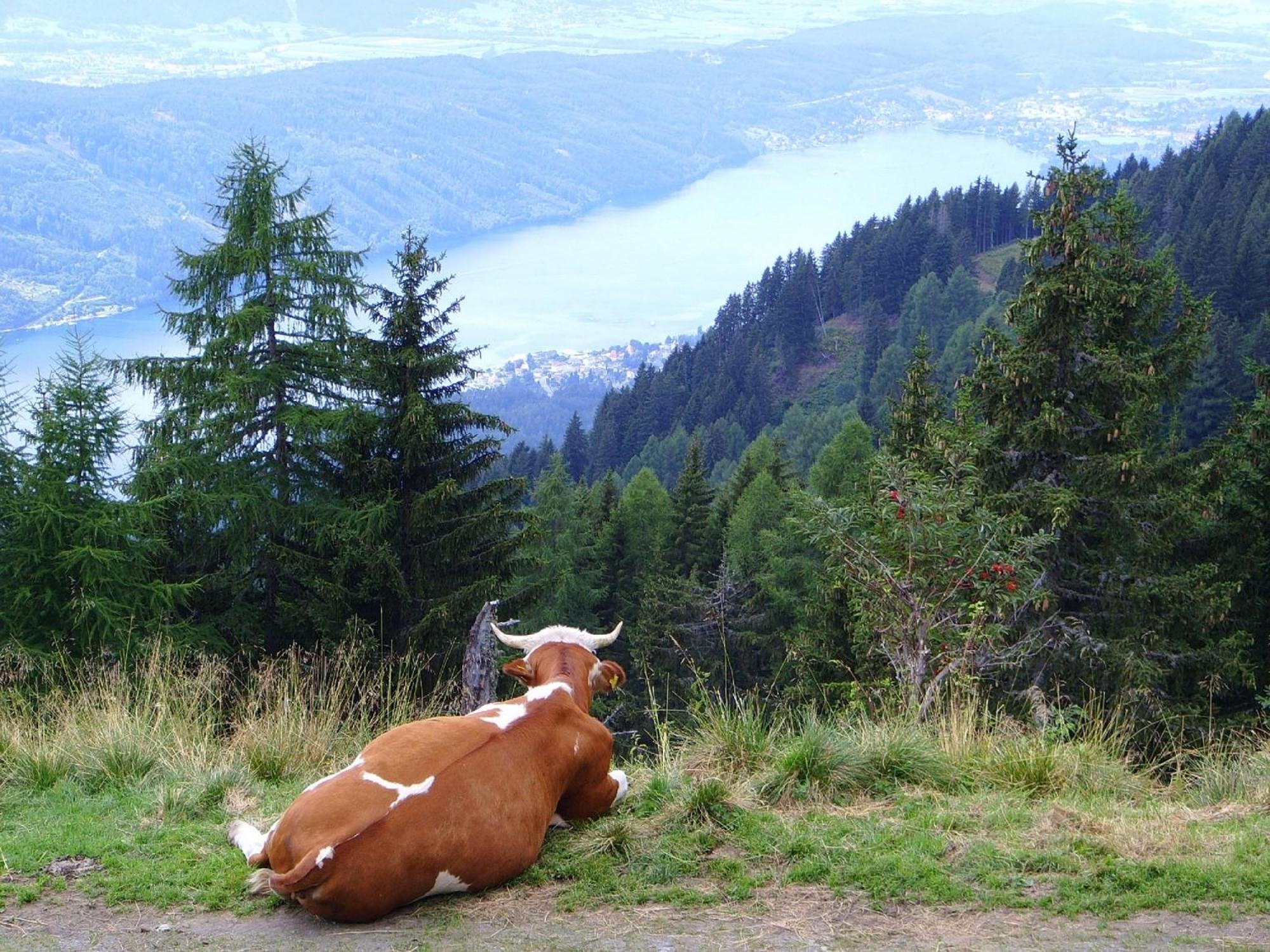 Turnerhof Hotel Millstatt Luaran gambar